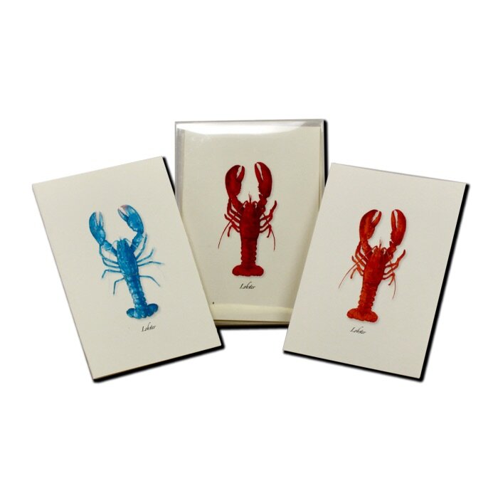 115E7514-1EC3-41B4-BDE3-750C37F6446D