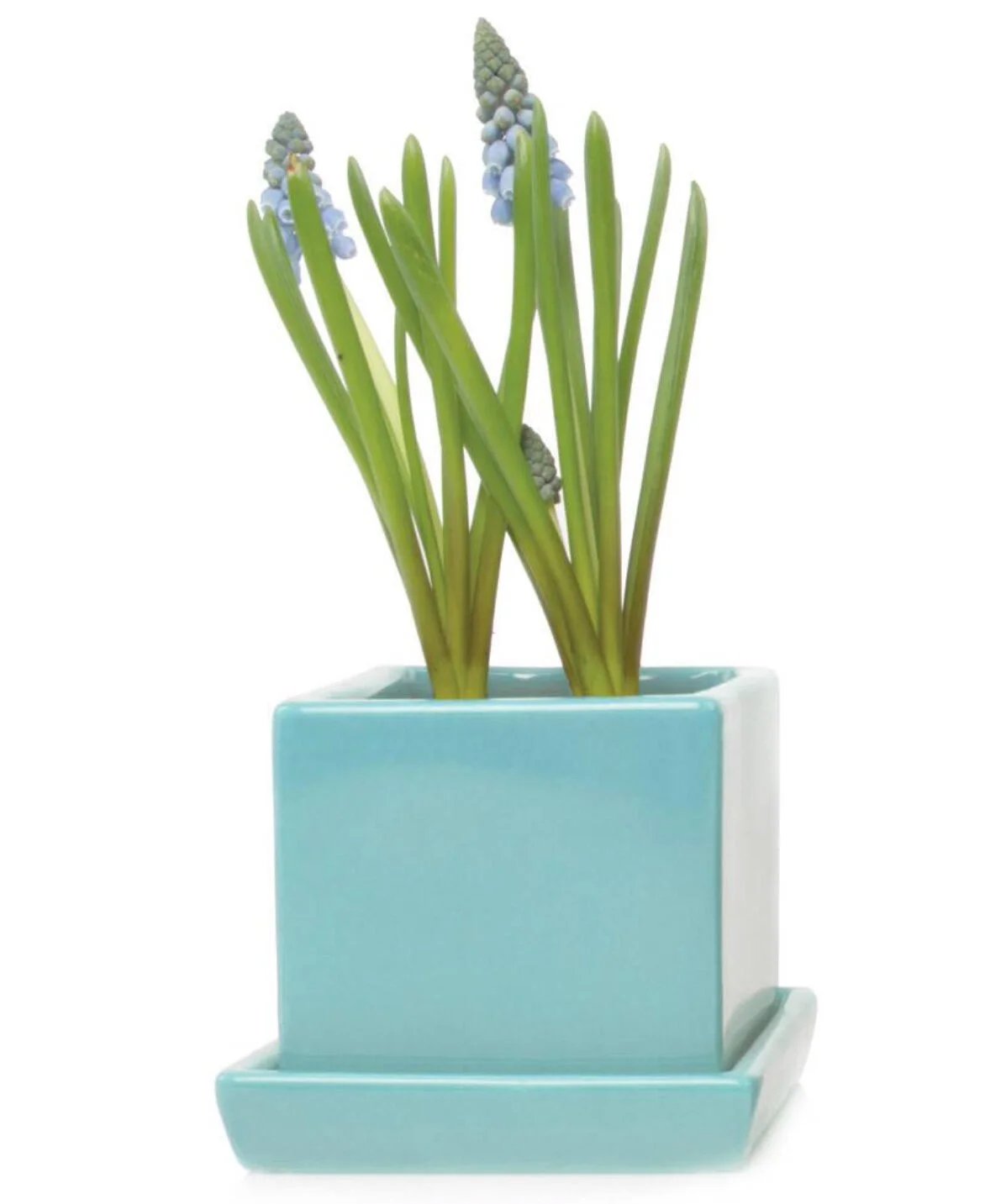 369ACCBD-F735-494D-88E8-BB62248BF863