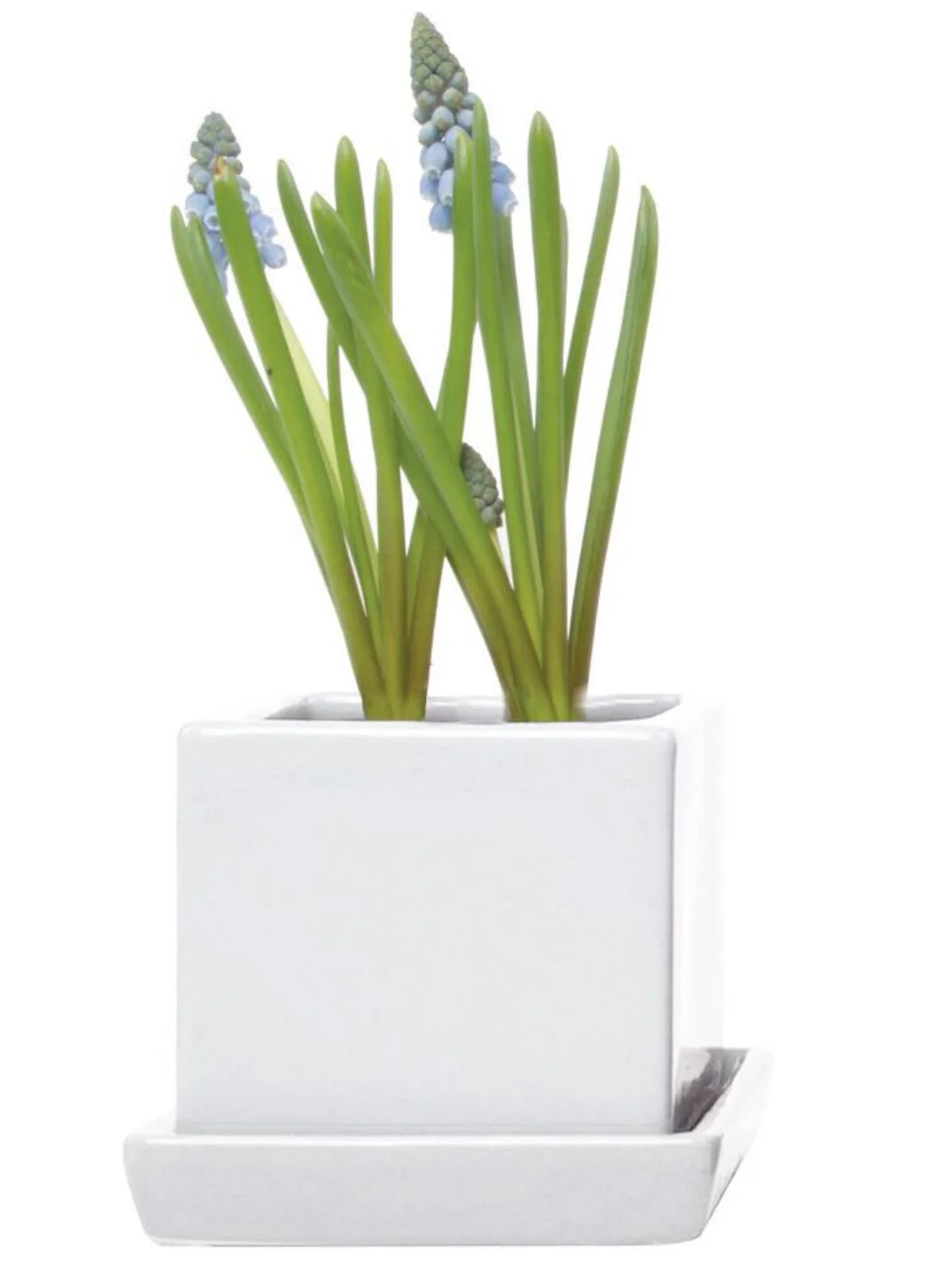 2D4CF626-650A-4E35-A7C5-20555BD8AAB1