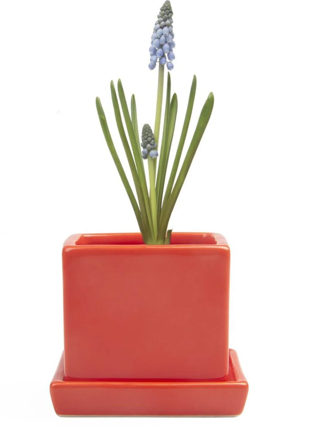 A98976F7-E03D-4203-B58E-5A9C5A539296