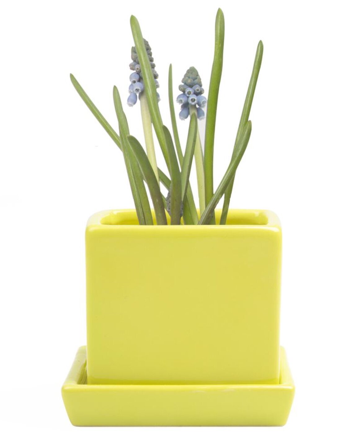 F17880AC-37A7-4DB7-AC40-26C85EA38387