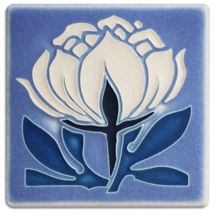 62FD0CA1-2C60-4A40-899E-B07C350F69FB