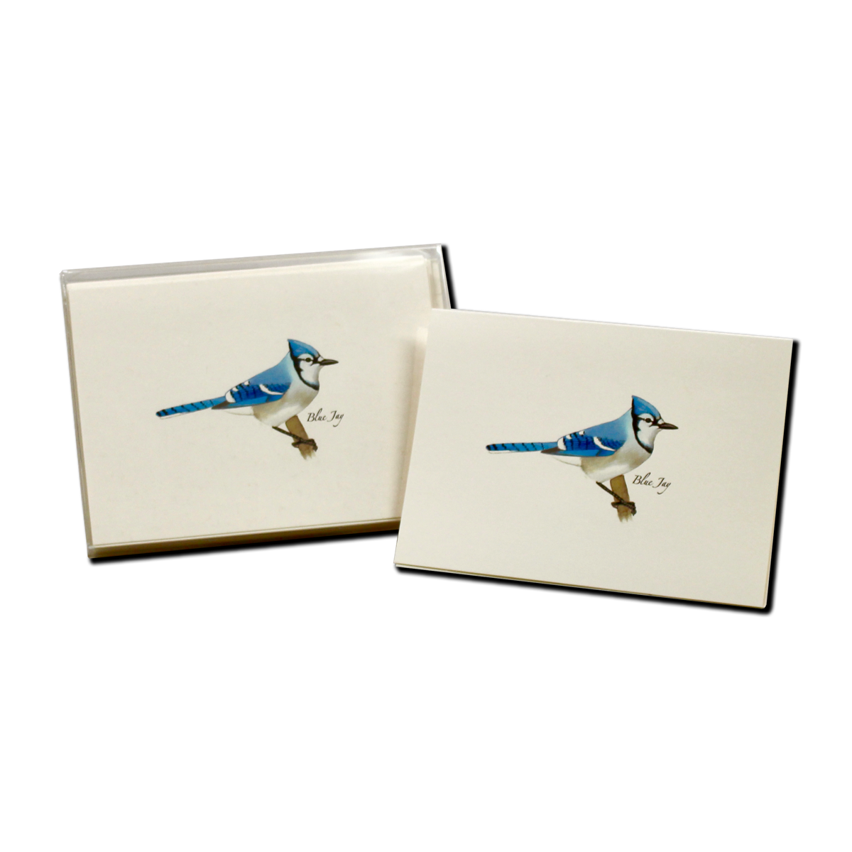 08E295C4-4496-4FAB-B842-3BB4A8CD186D