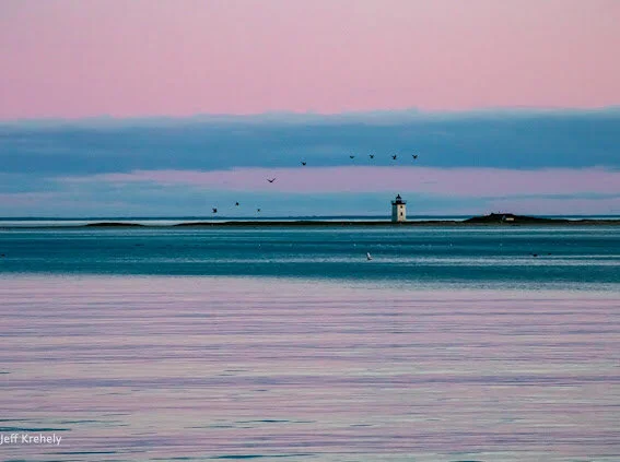 EFCC9DA2-F4C2-48AA-A578-1F9AAB4B79D1