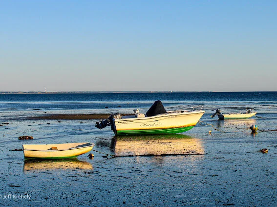 94CD799F-4941-4DB4-8D1E-5F7C9C306D30