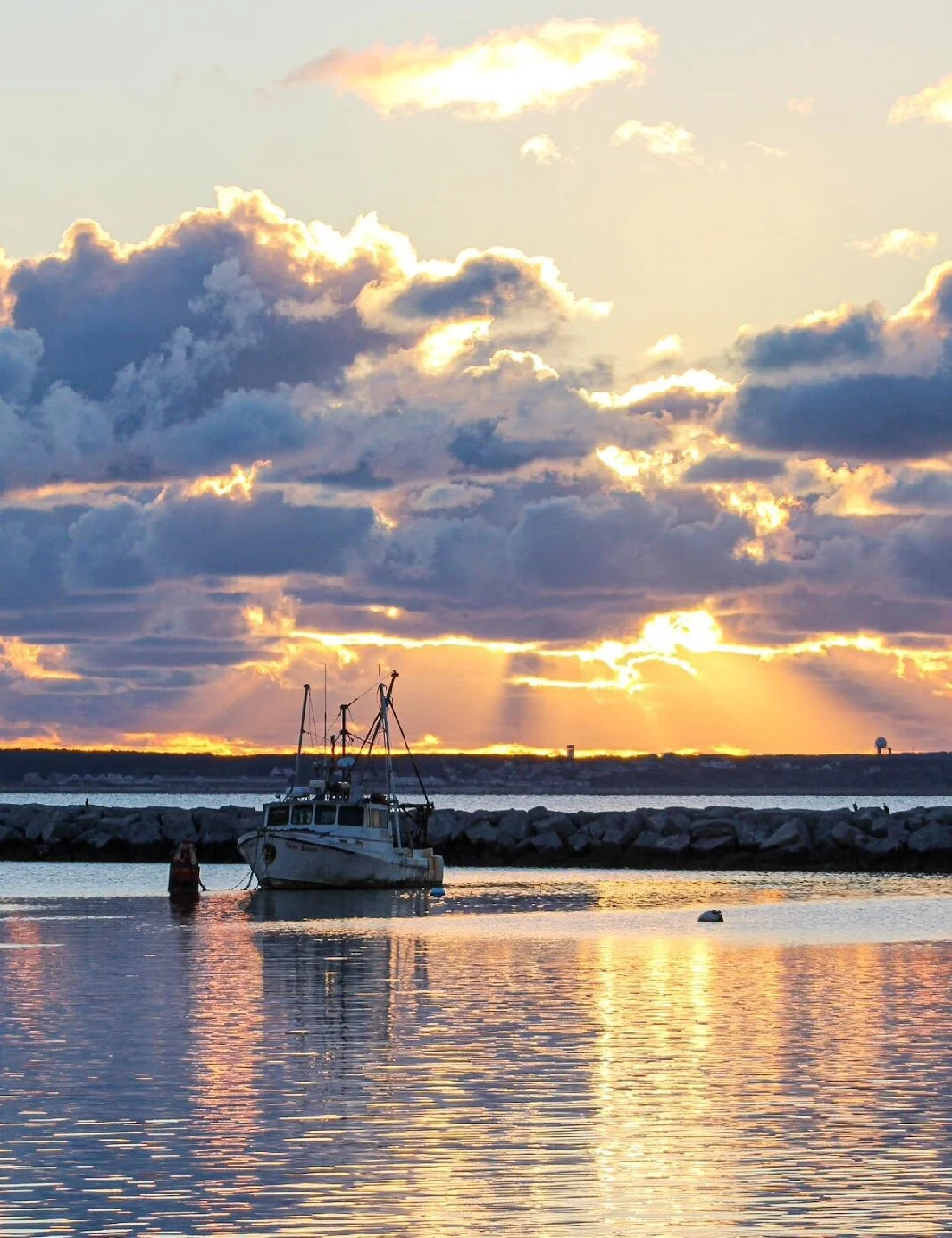 D6FF4000-04AA-4820-A801-B5CDDA08E704