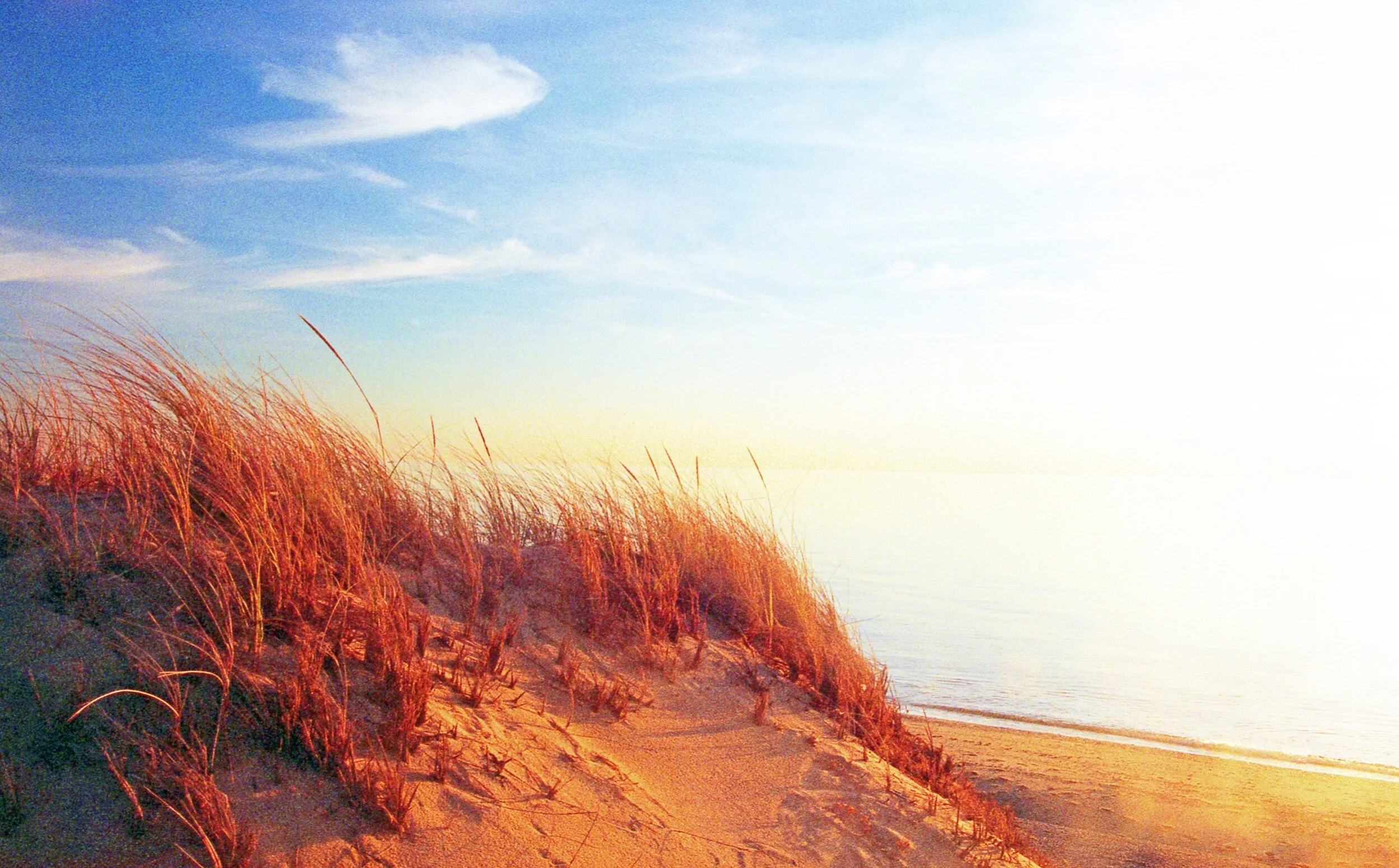 CAA14C65-4F0B-4BD0-8C9D-391C2143EE05