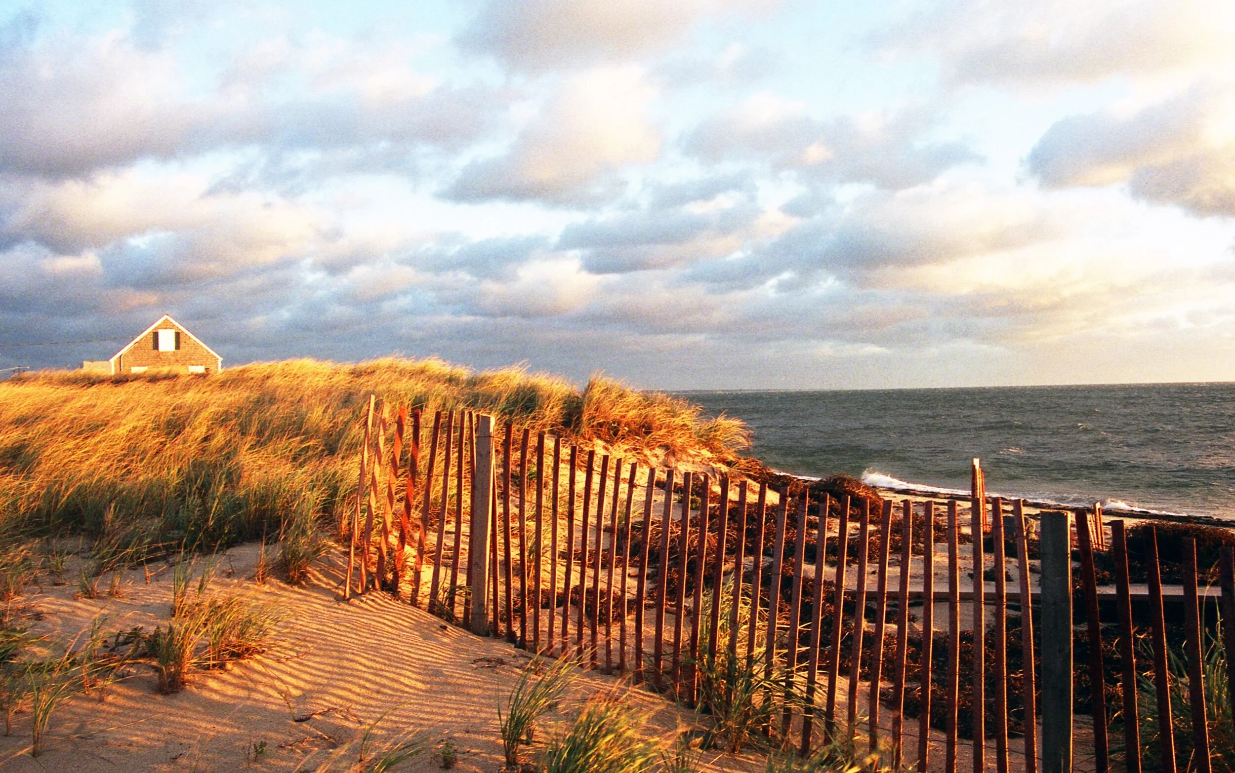 0AFE69FE-0AA8-4475-B916-7A0CD1931D25