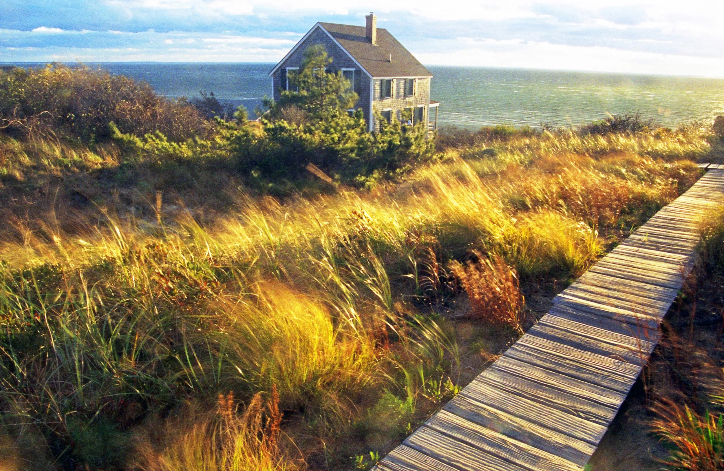 7F67E34C-2BD0-472B-9570-52AEE134B869