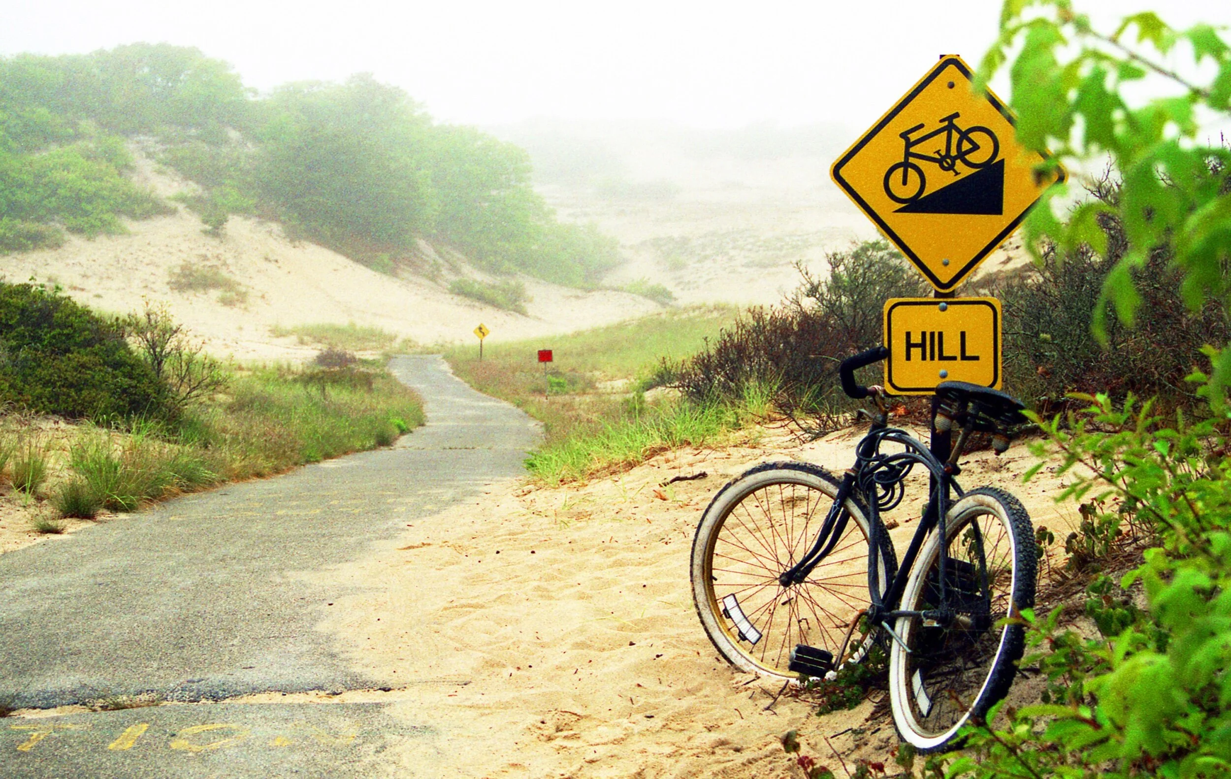 43BDA2DA-2C9A-4BBB-8B70-760D21974EE2