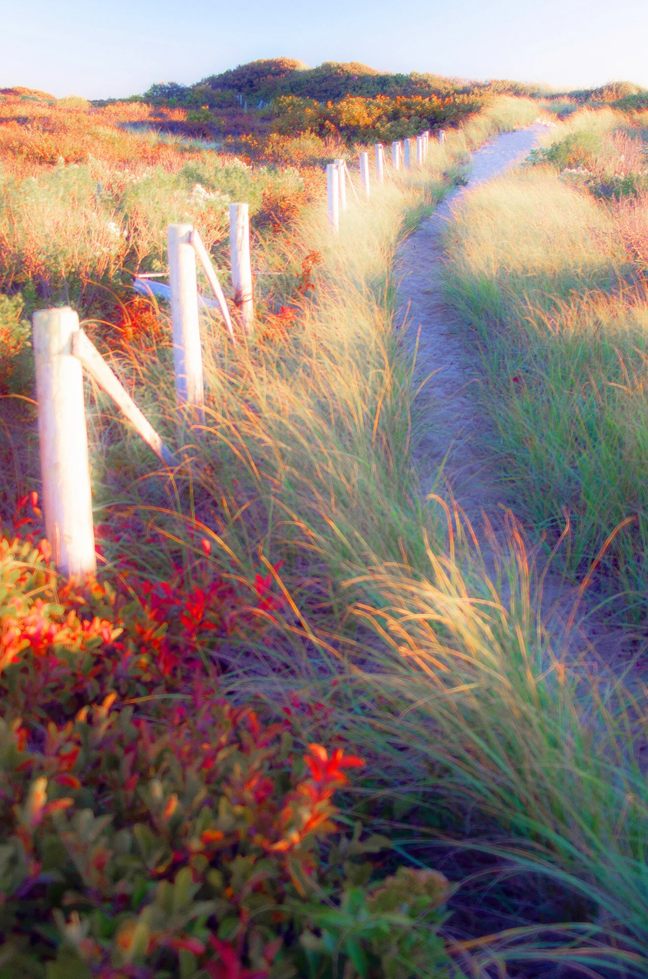 A8135A0A-56EE-473B-91A2-CDD382C8D4EE