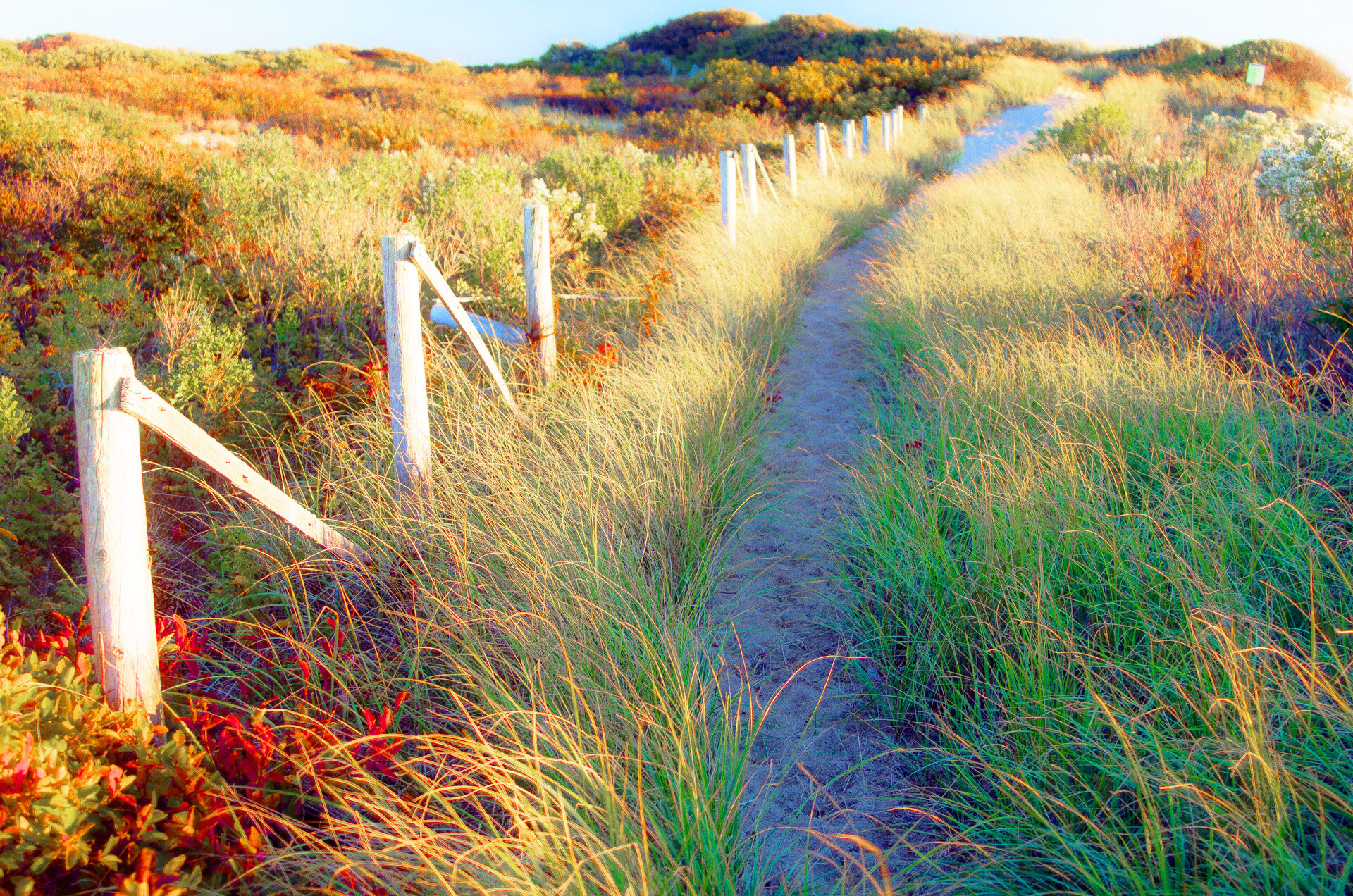 9118006B-B8DD-42D6-A3E5-059B8824D4A6