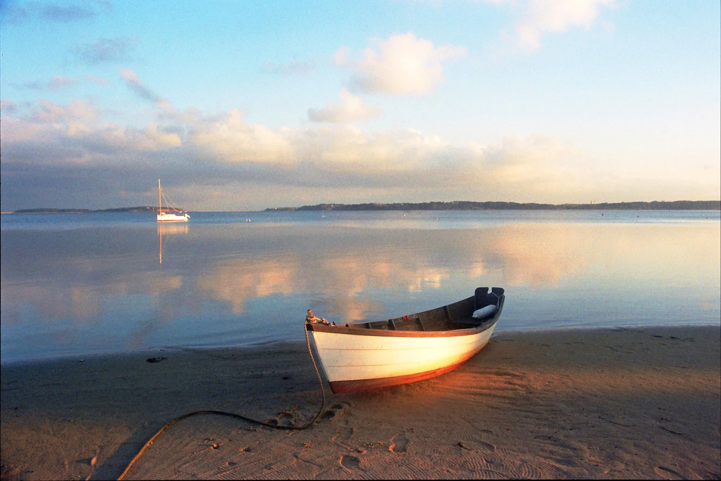 B9A9F6A1-83D6-43A4-9A7A-382BCD91B3AC