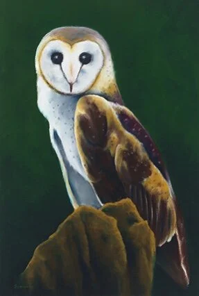 02190AF2-C462-46A1-A0EE-C8D9766FF572