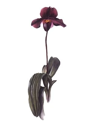 9EDAC9CB-E07B-4C4C-914C-C0E967AB5ED8