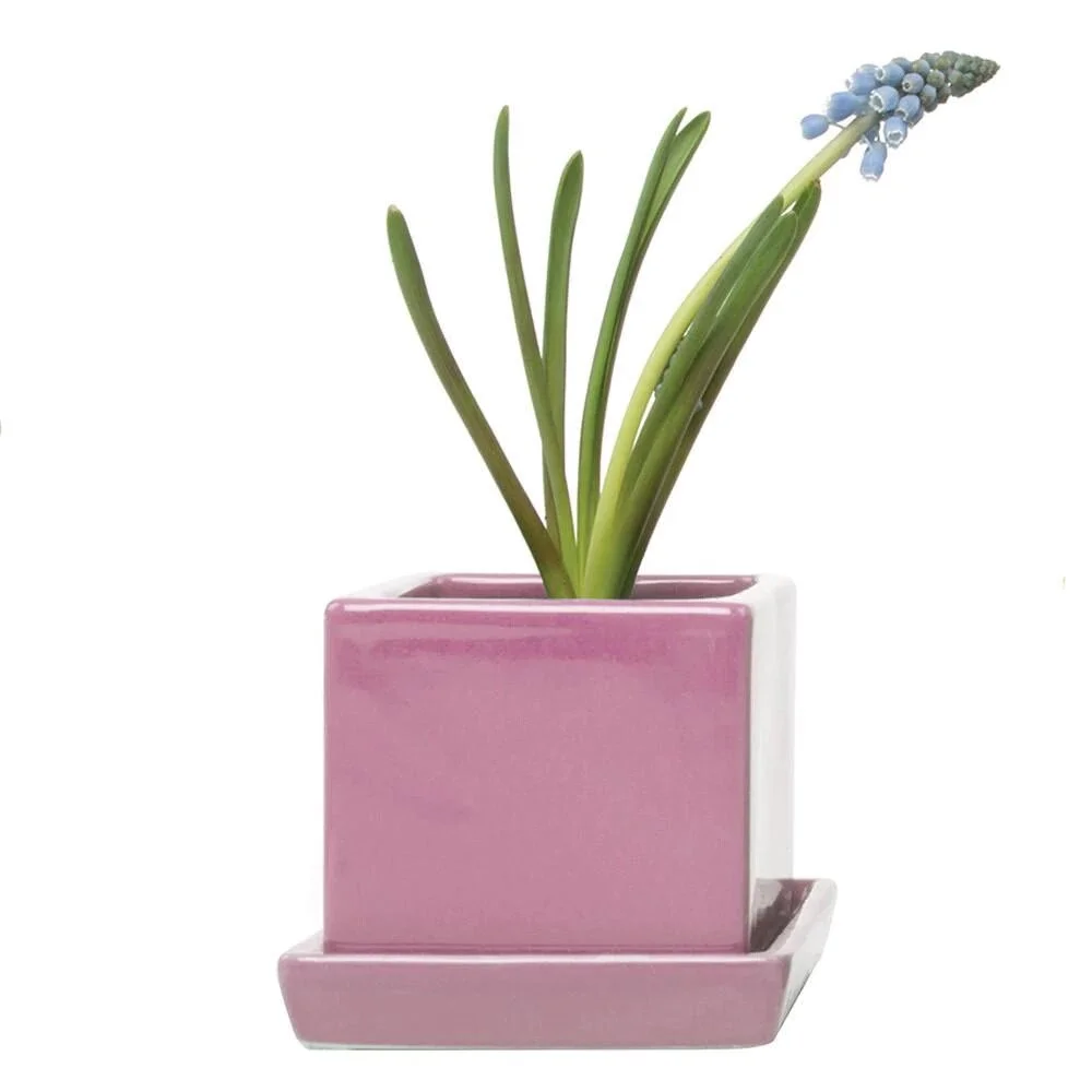 0A4A817D-40A1-496A-8B78-B508F0DD5A8D