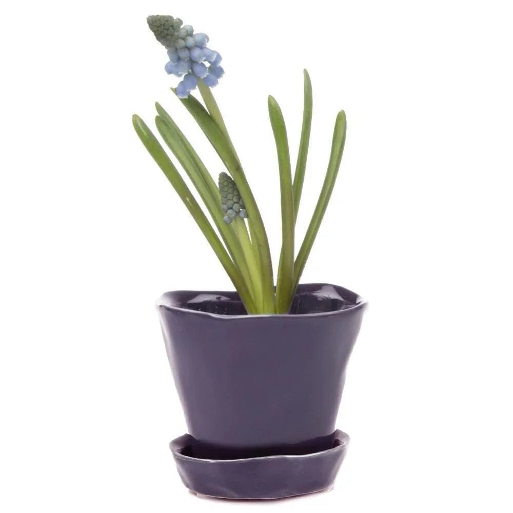 38C34C6F-1FEF-43A7-9DE7-12E9325FD919