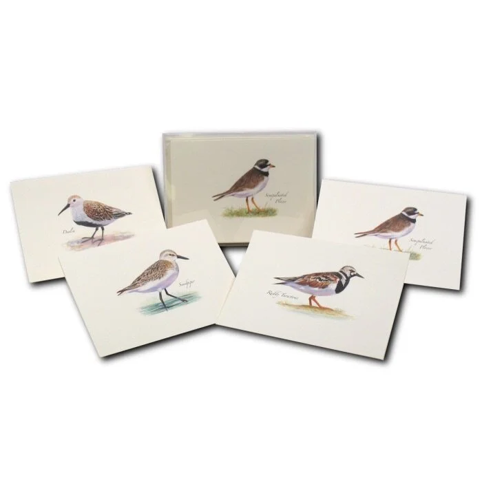 A7A8AF79-1DEB-4FFA-B76E-40595C9A954B