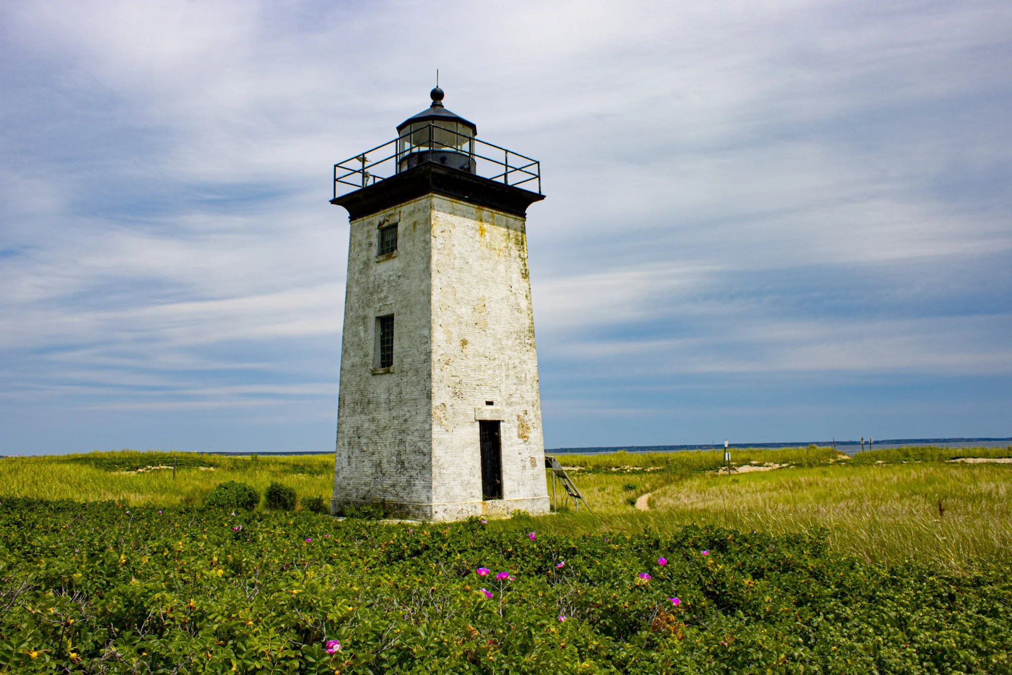 FB801DCA-7820-4FB4-838A-CD6FD276103E