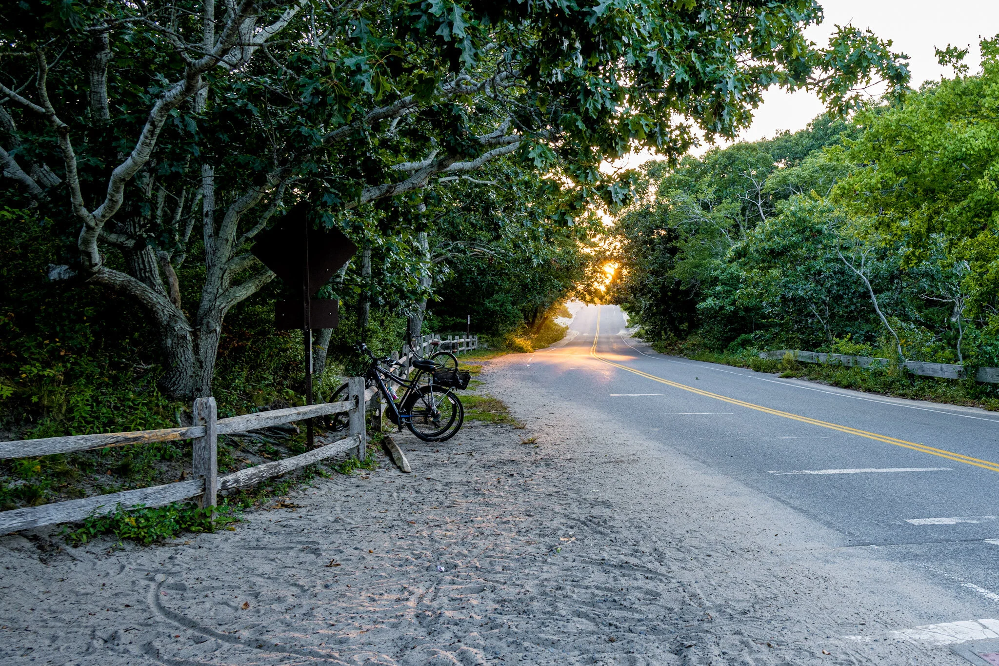 D659B36B-249F-40B9-ACDE-109CE81B4C8C