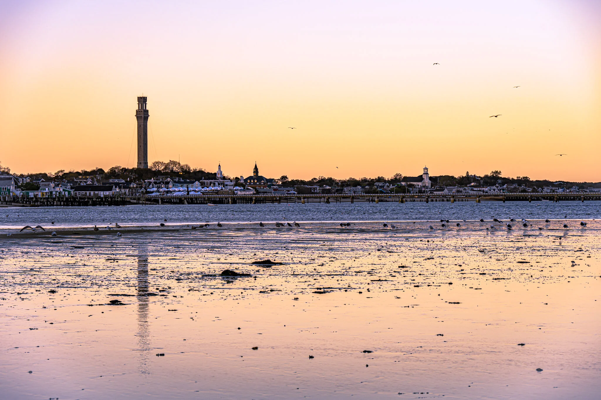 5556FD17-7FDF-45C6-8381-2995AAFD11DA