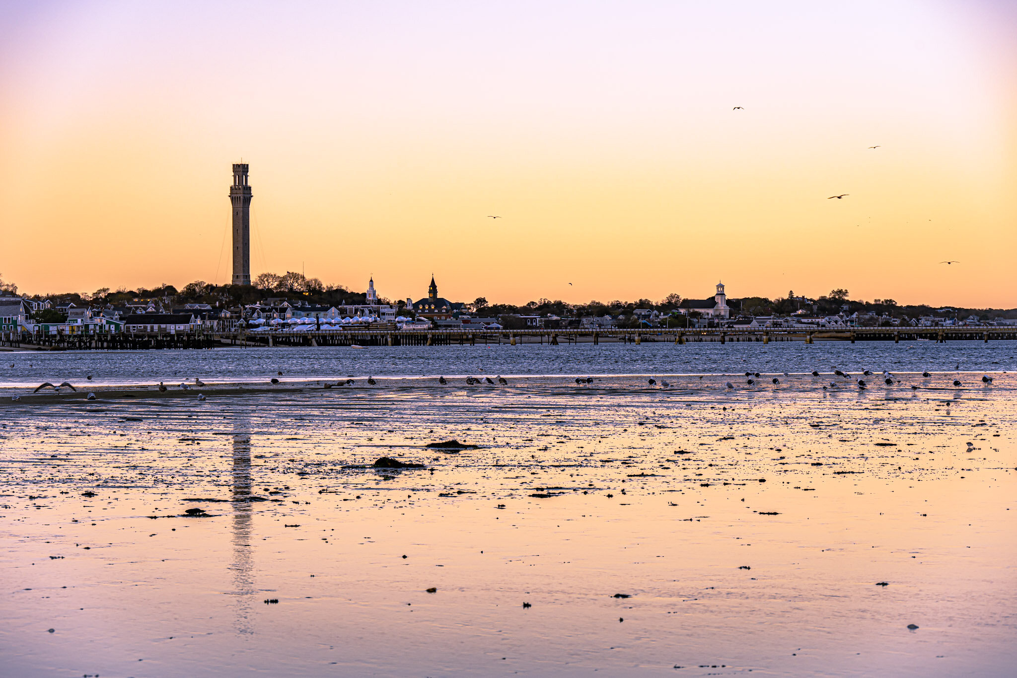 8B63CC4A-D83C-47D2-98C4-E3E02430F96C