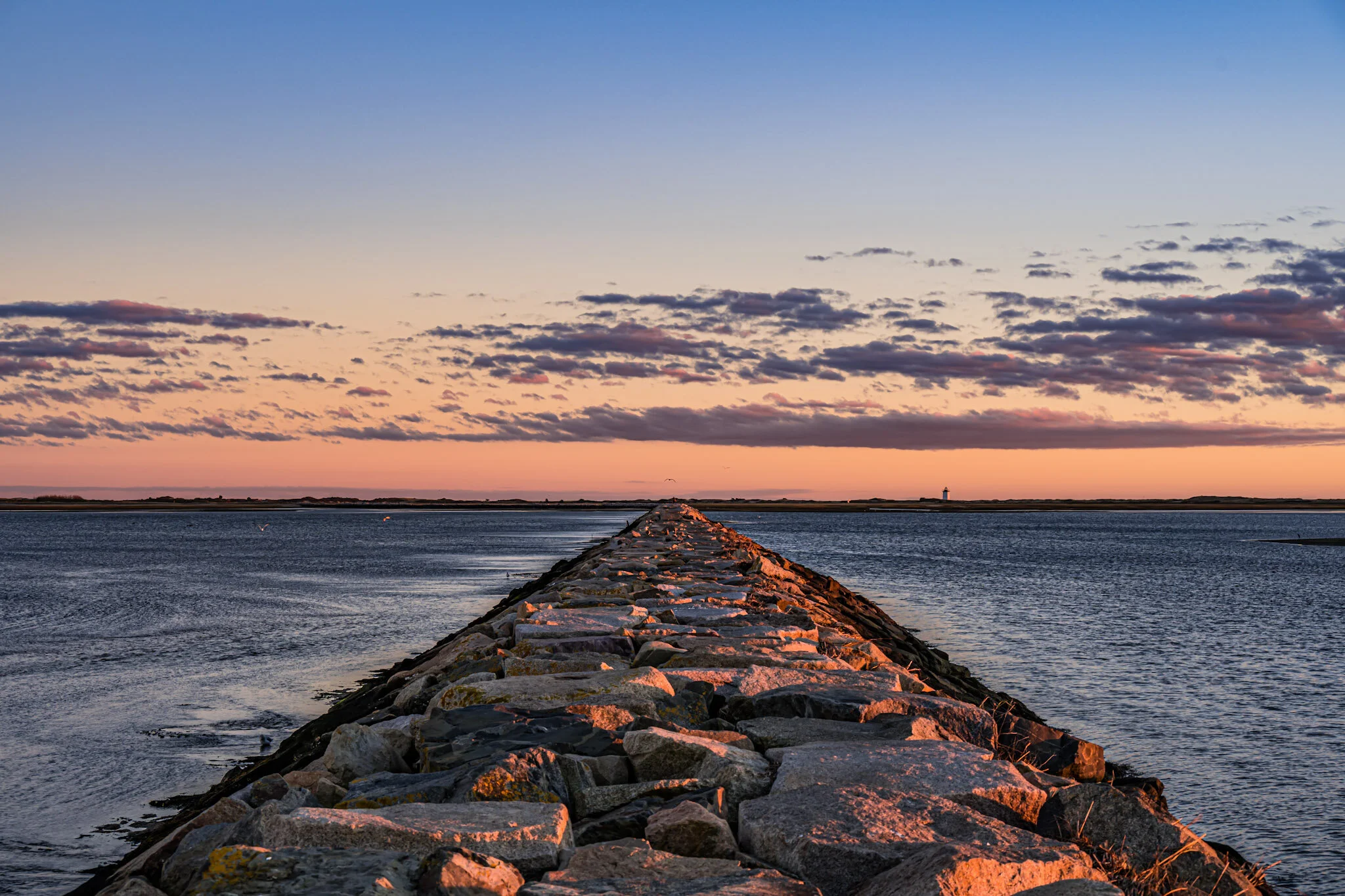 E6515B1E-1BCA-405D-B6F0-18ACE4F91127