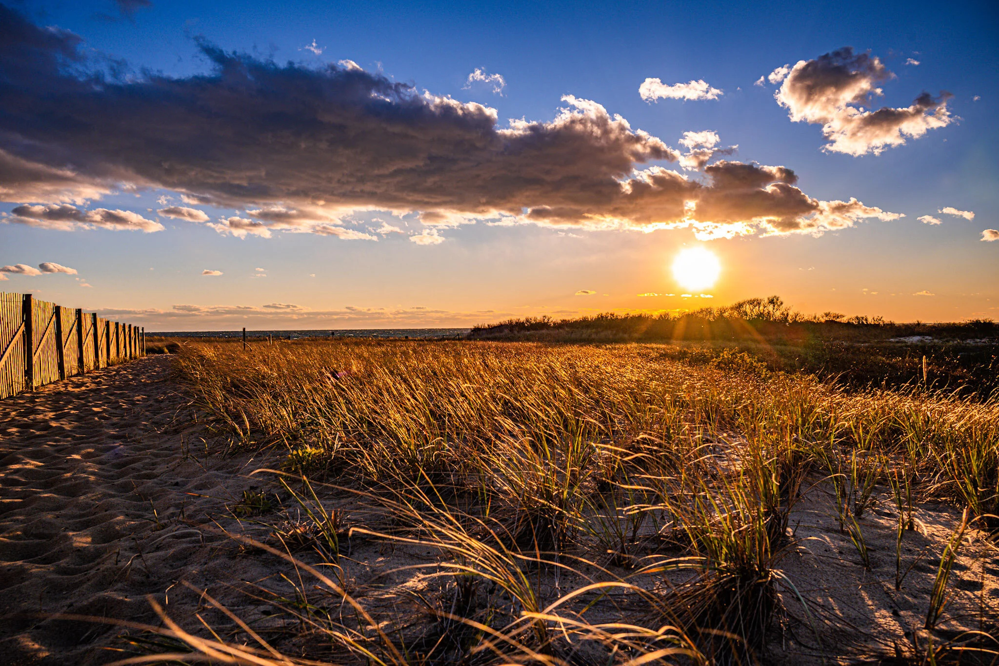 9F9F1AD5-CD10-4301-957E-728C0271D09C