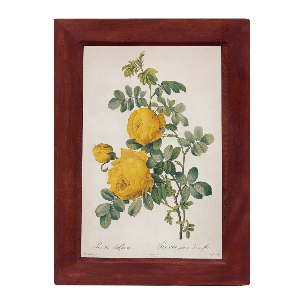 848AF13C-2032-456D-9BE8-835D8563E199