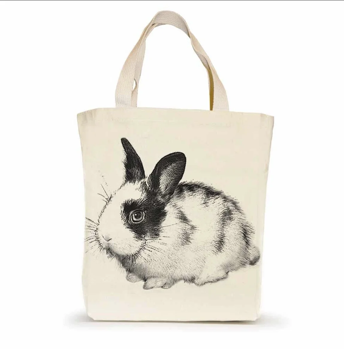 9D2ED73A-668F-41E5-92EE-DF75F50D4A9E