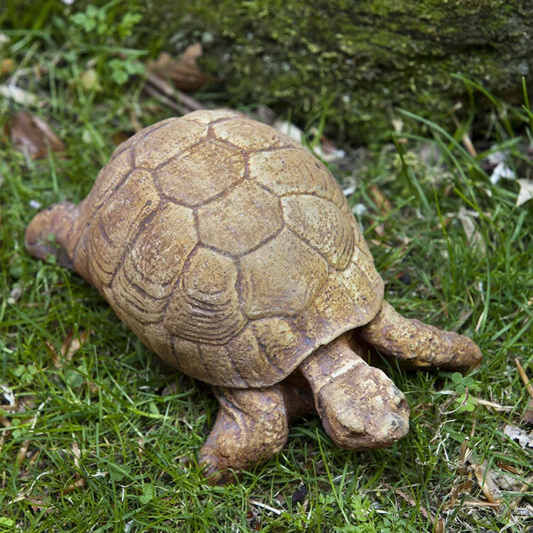 A8B498A6-C0AA-4FF5-8A35-ED0DCA27BA3A