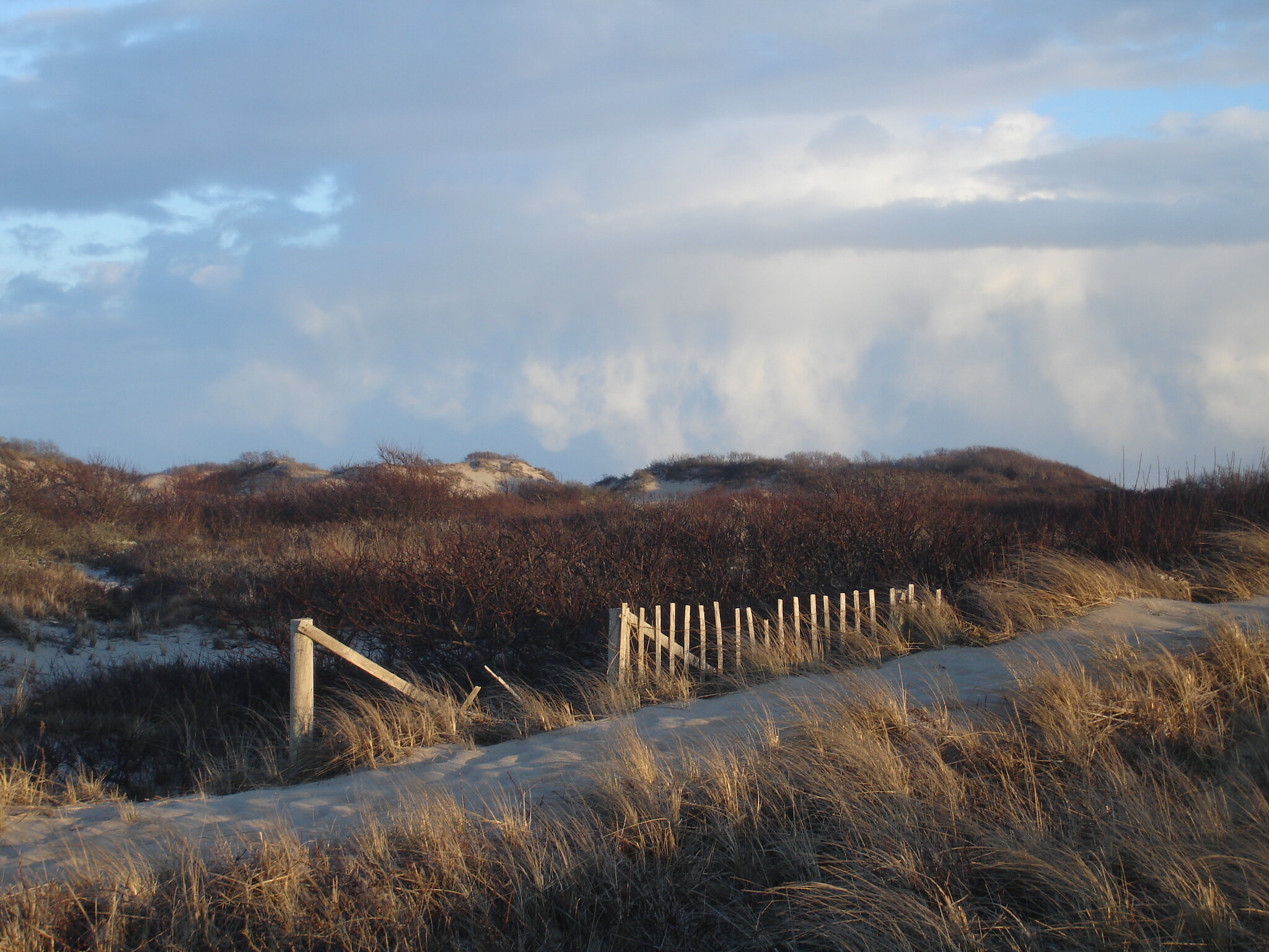 B2AB9D48-589E-4416-918E-3542BC0F5940