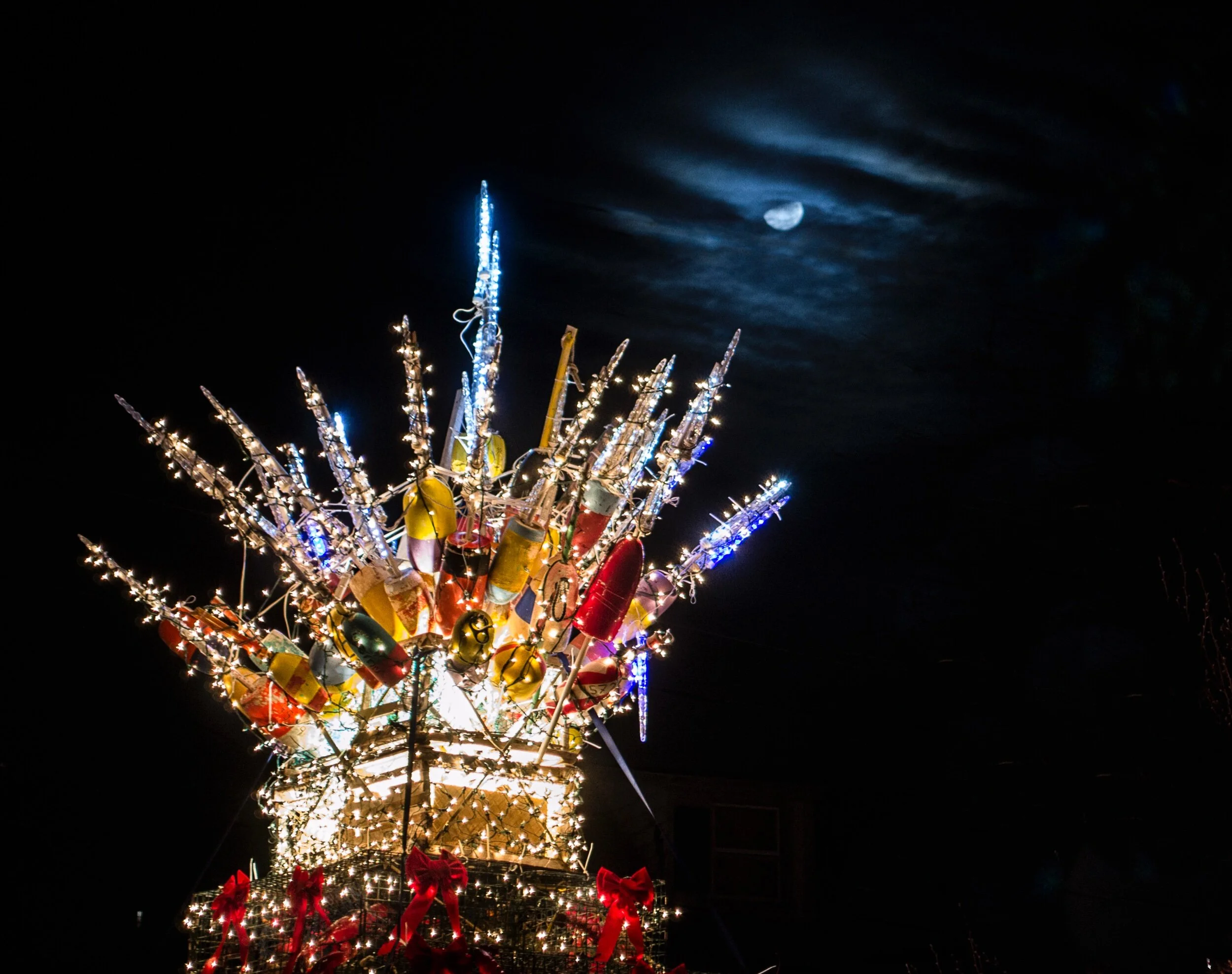 05D2E696-8273-4562-88F5-1451ED285816