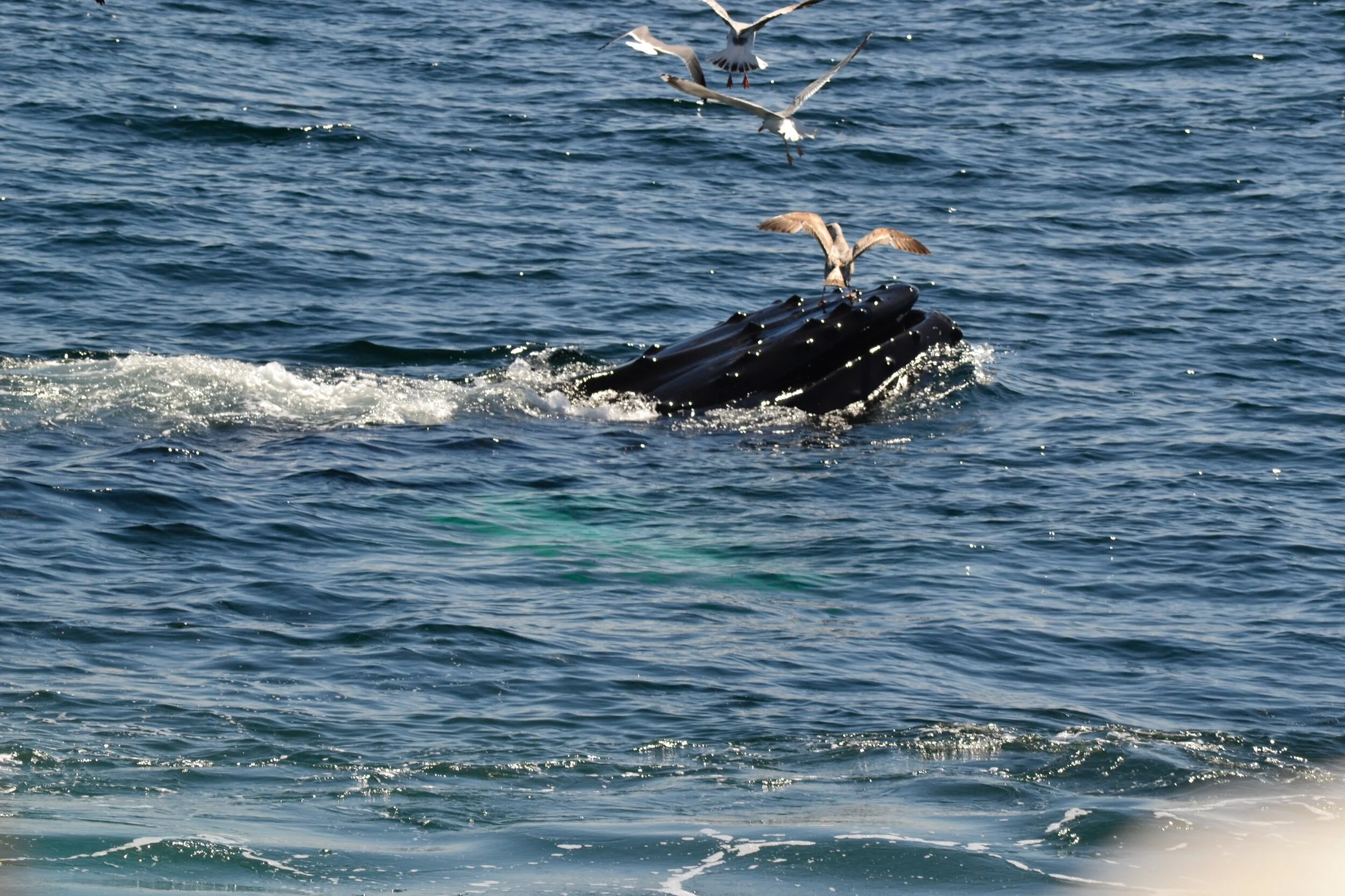 2E32AF62-E375-4D5A-96E2-89B1CC364D46