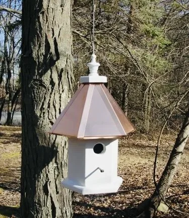 FC5EA063-F3AF-4109-88DA-5E2710523910