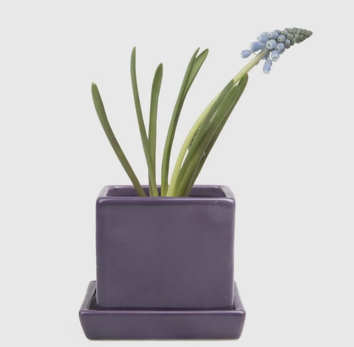 AD3A8C61-7622-459A-9009-1A7FBEDD1441