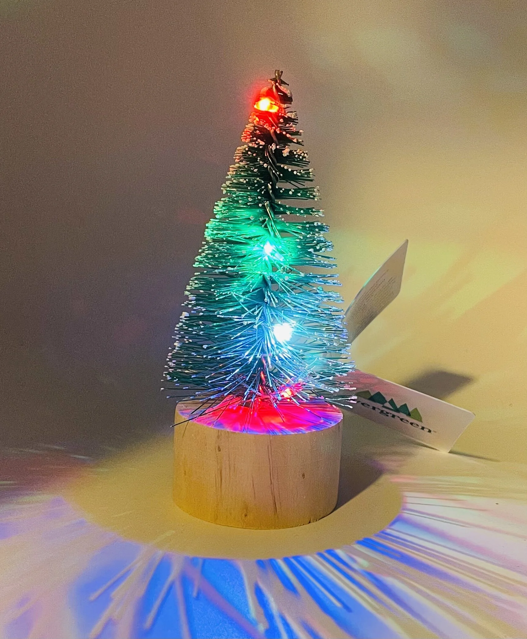 703ED269-E18A-416B-BA8C-E273D92D8A08