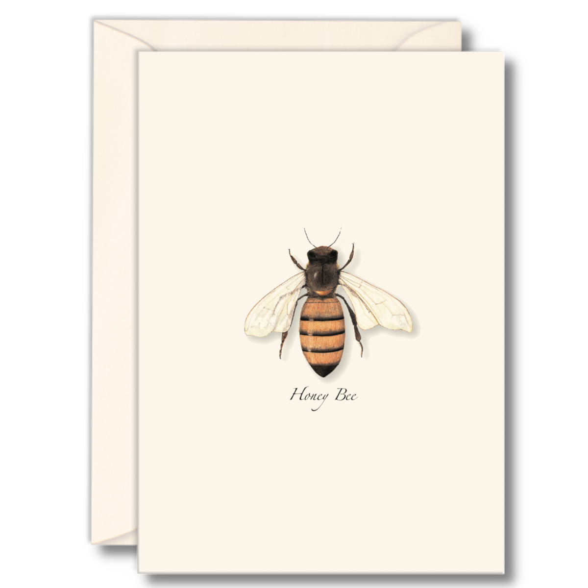 EC70631C-494B-459F-9AAC-2DE3A9349A0F