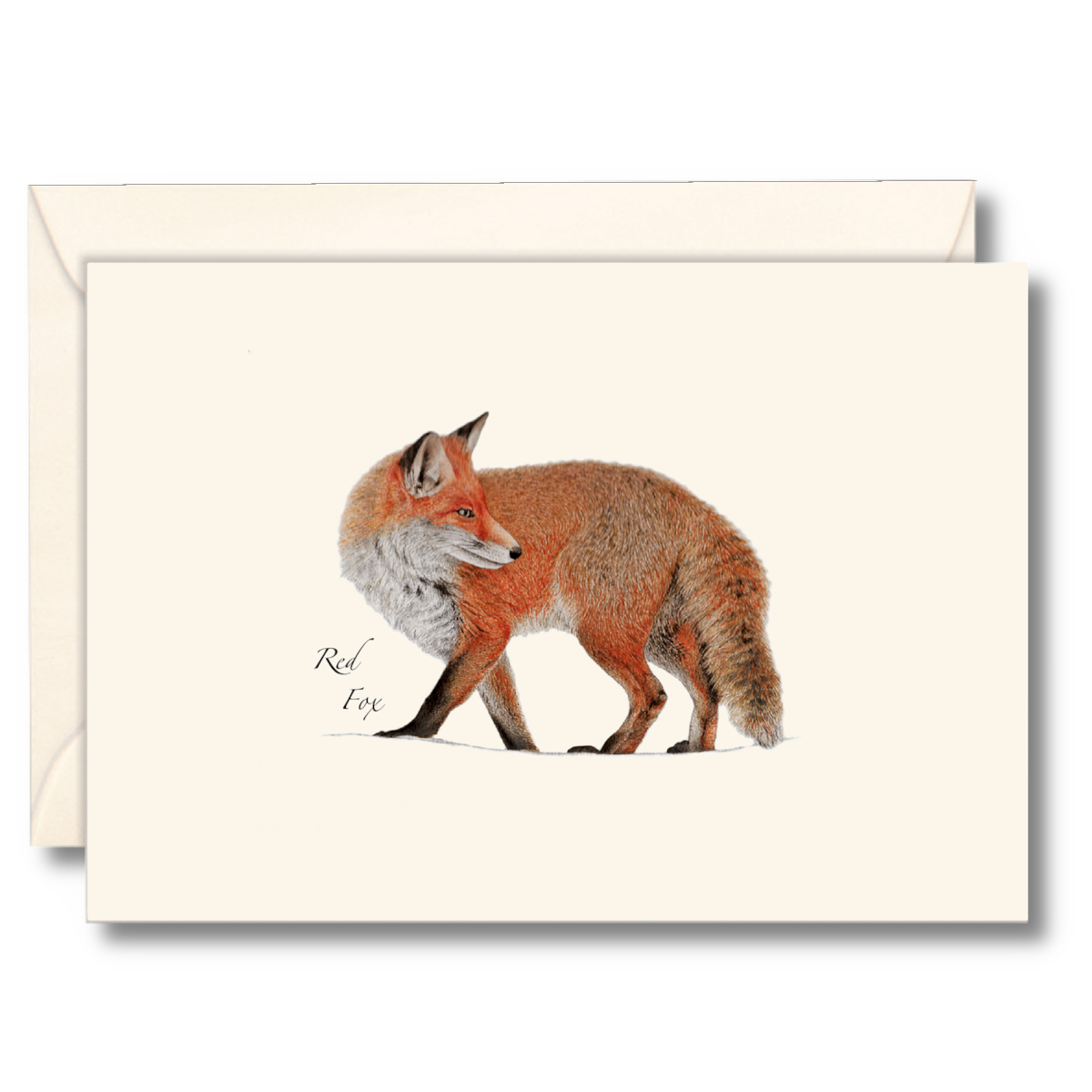 45A97F2A-8F53-4BFA-A70D-A2D2731FF5AE