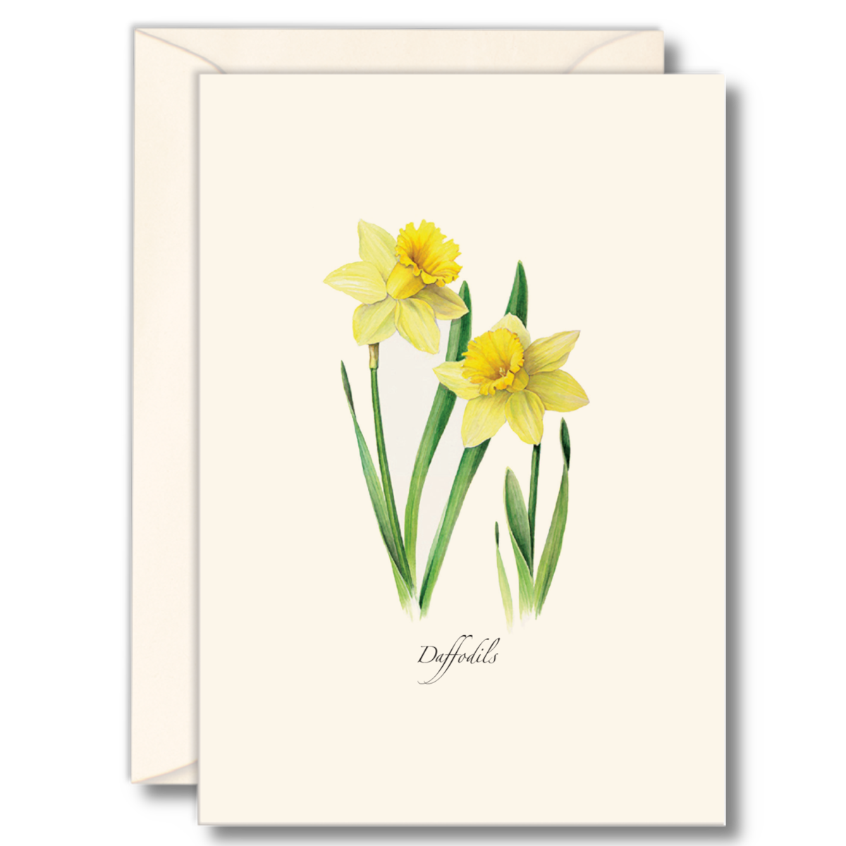 493C24E8-3B6A-45A3-8AD7-5D46C1EF35BF