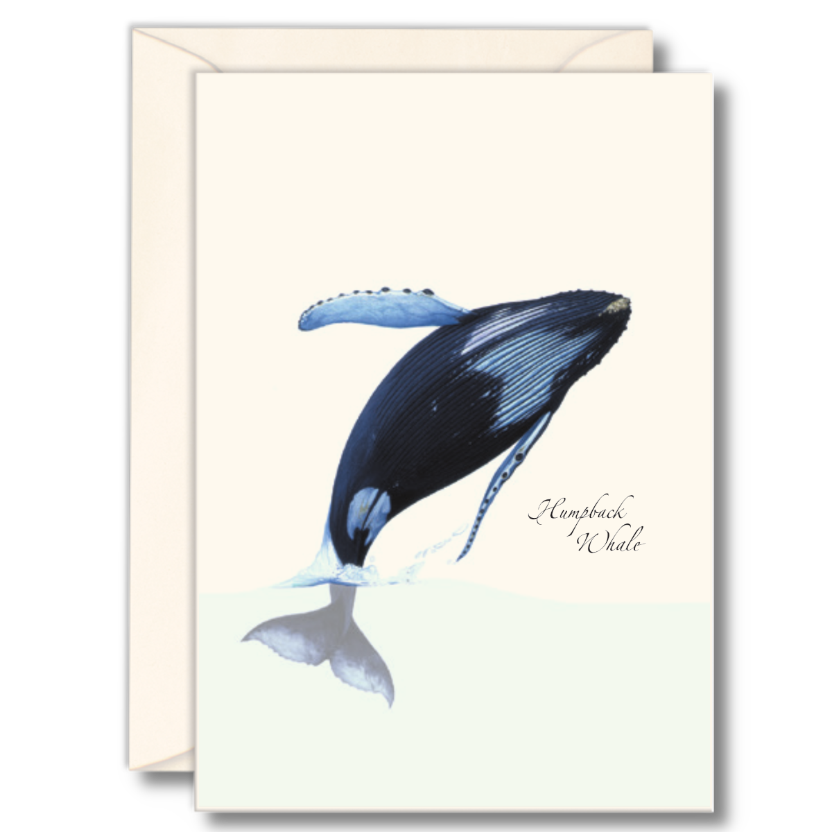 B808D381-CEA9-48D4-A80F-B24D130EB186