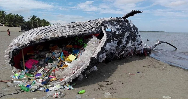 Whale made of trash.jpg