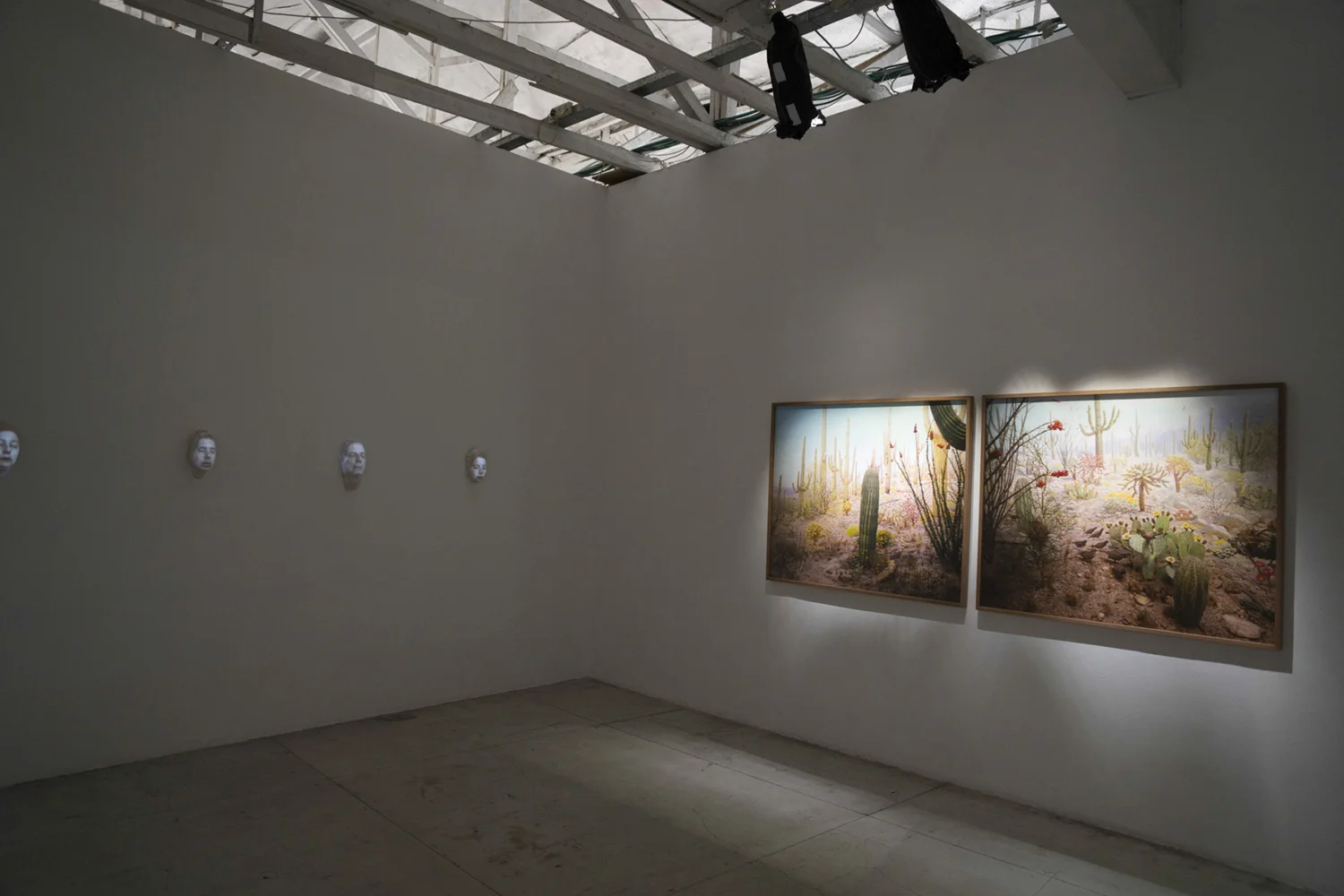 No Time, solo show. installation view