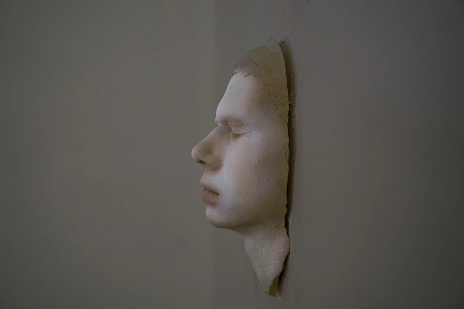 Family, 2015. light projection on photographic casted plaster