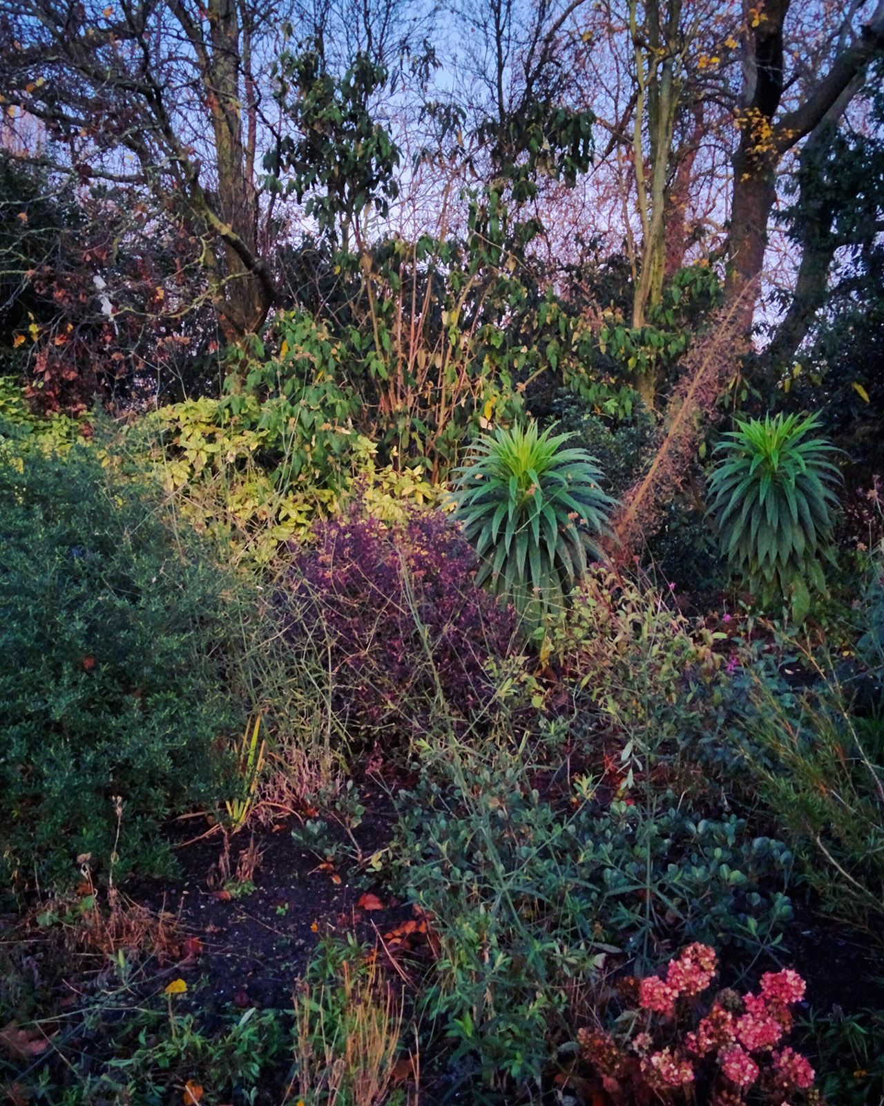 Jungle_010.jpg