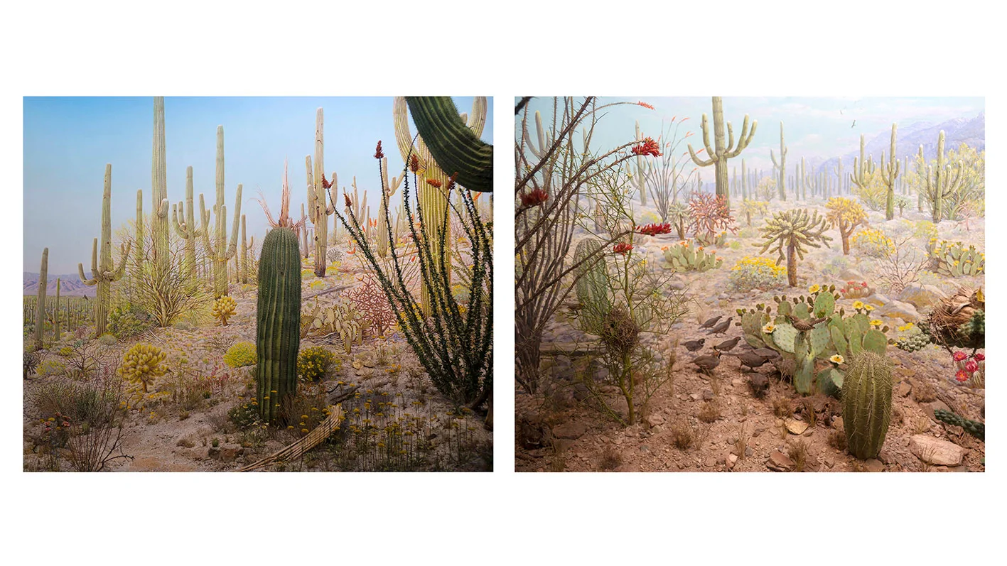 Arizona - diptych.jpg