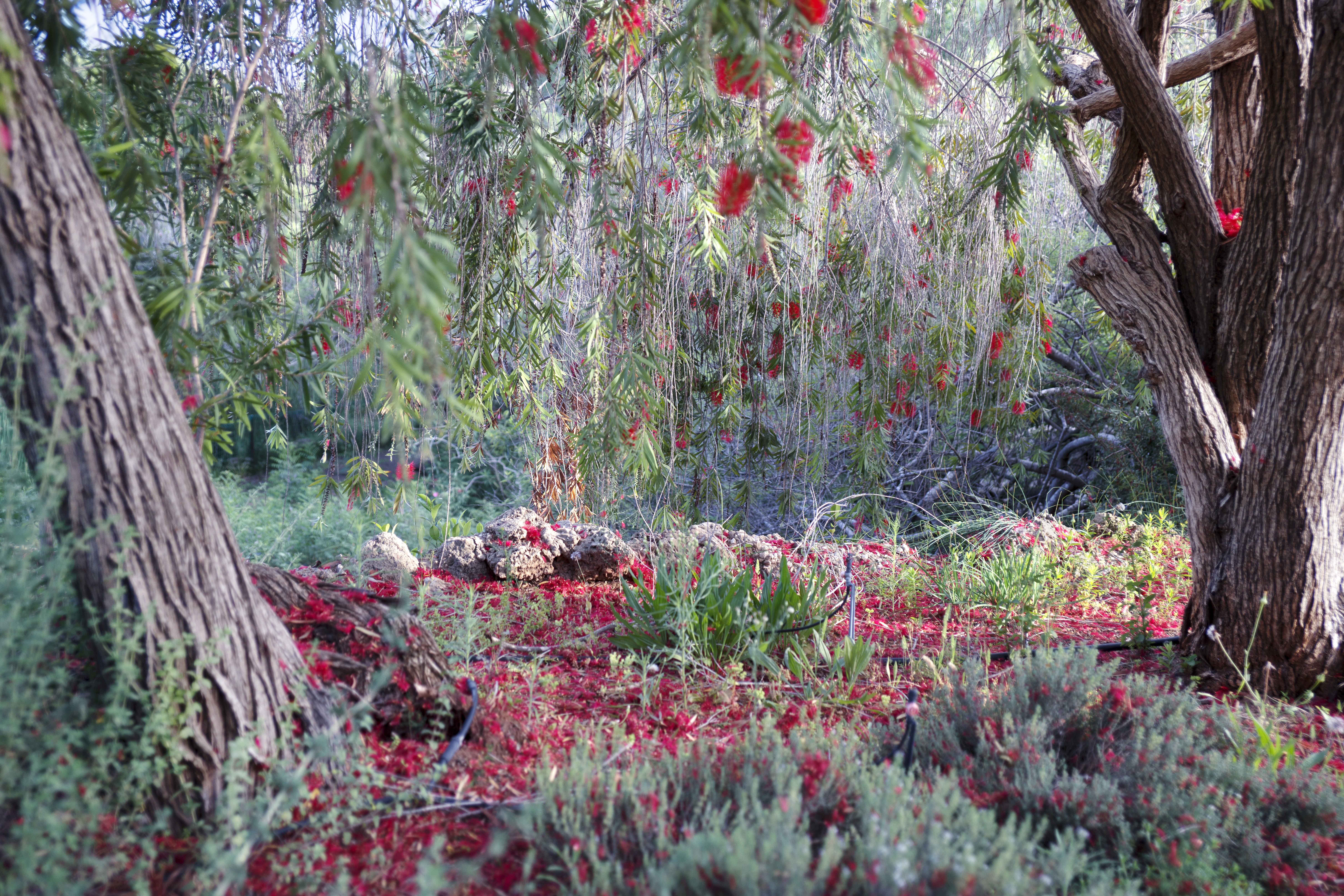 RED VIEW, 100x150cm 2014-1.jpg