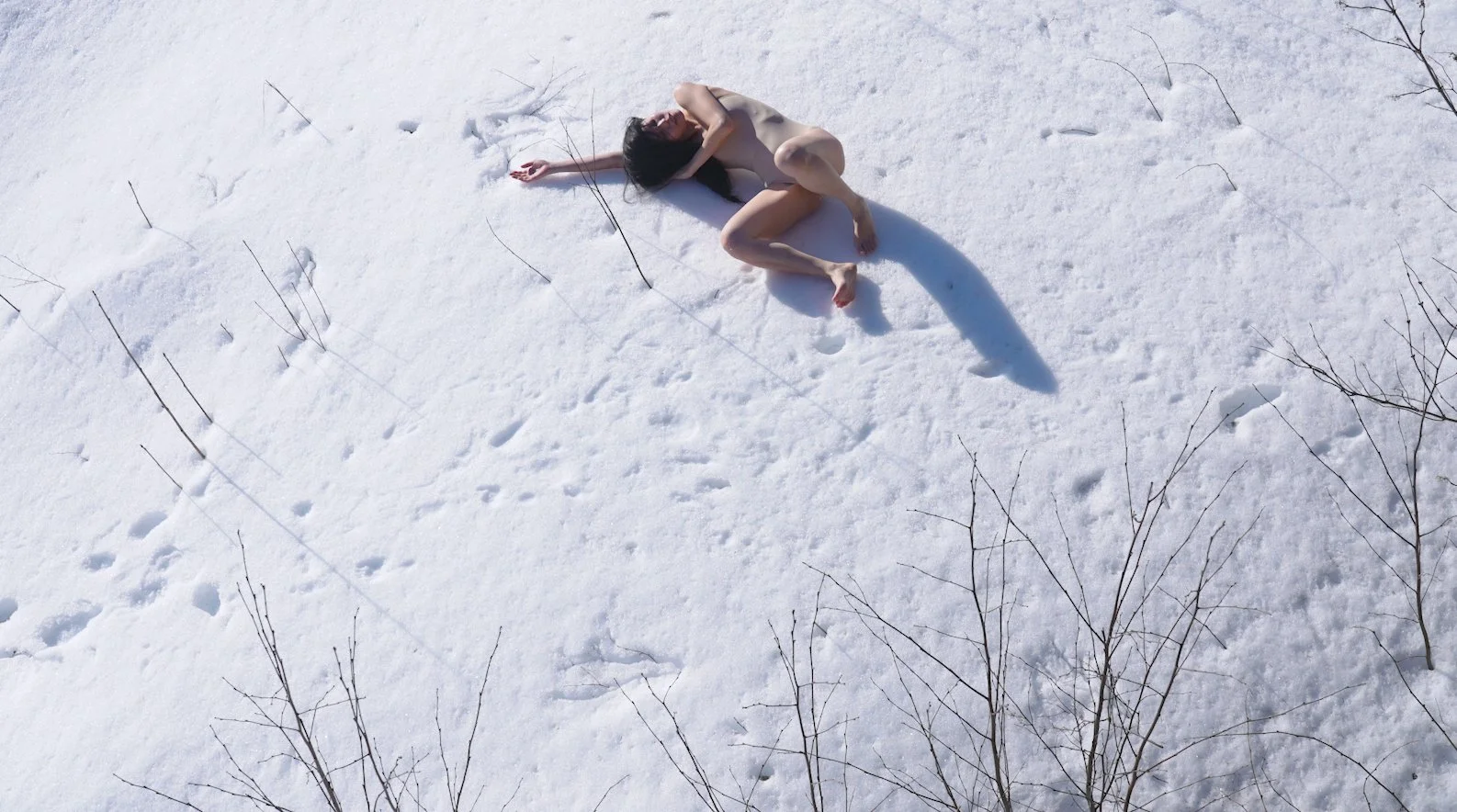 Screen Shot 2022-03-19 at 2.57.06 PM.jpg