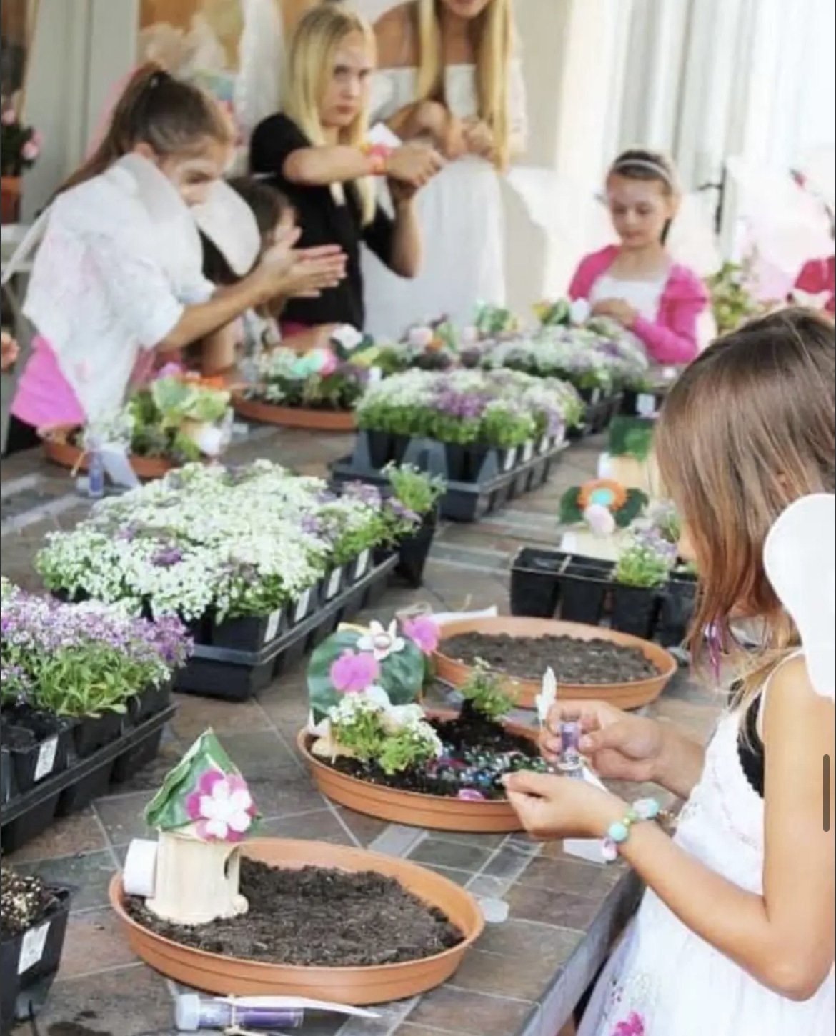 Fairy Garden Project