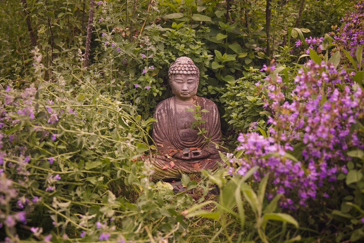 The Garden Buddha (1).jpg